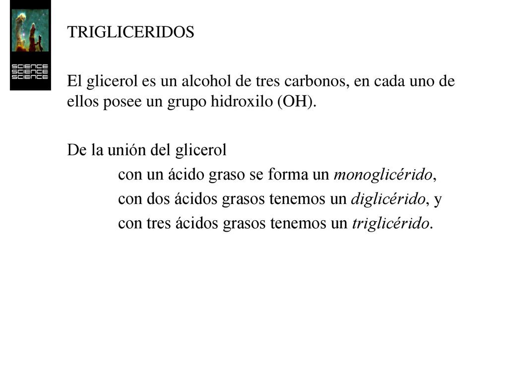 TRIGLICERIDOS El glicerol es un alcohol de tres carbonos, en cada uno de ellos posee un grupo hidroxilo (OH).