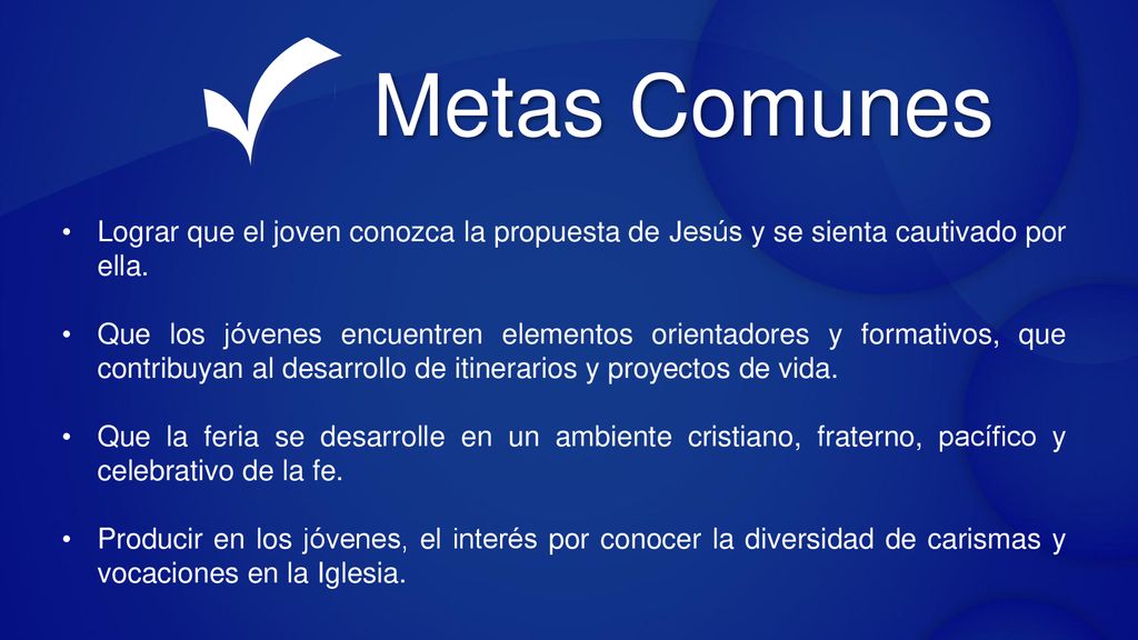 Metas Comunes Lograr que el joven conozca la propuesta de Jesús y se sienta cautivado por ella.
