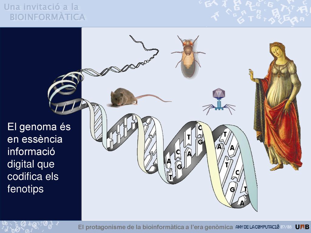 El protagonisme de la bioinformàtica a l’era genòmica