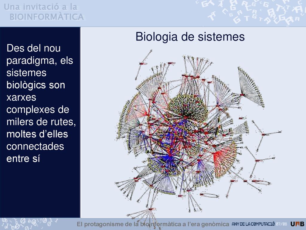 El protagonisme de la bioinformàtica a l’era genòmica