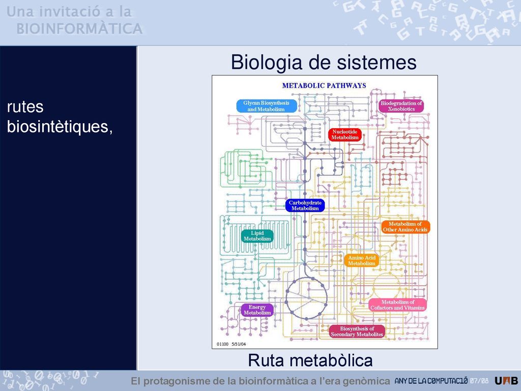 El protagonisme de la bioinformàtica a l’era genòmica