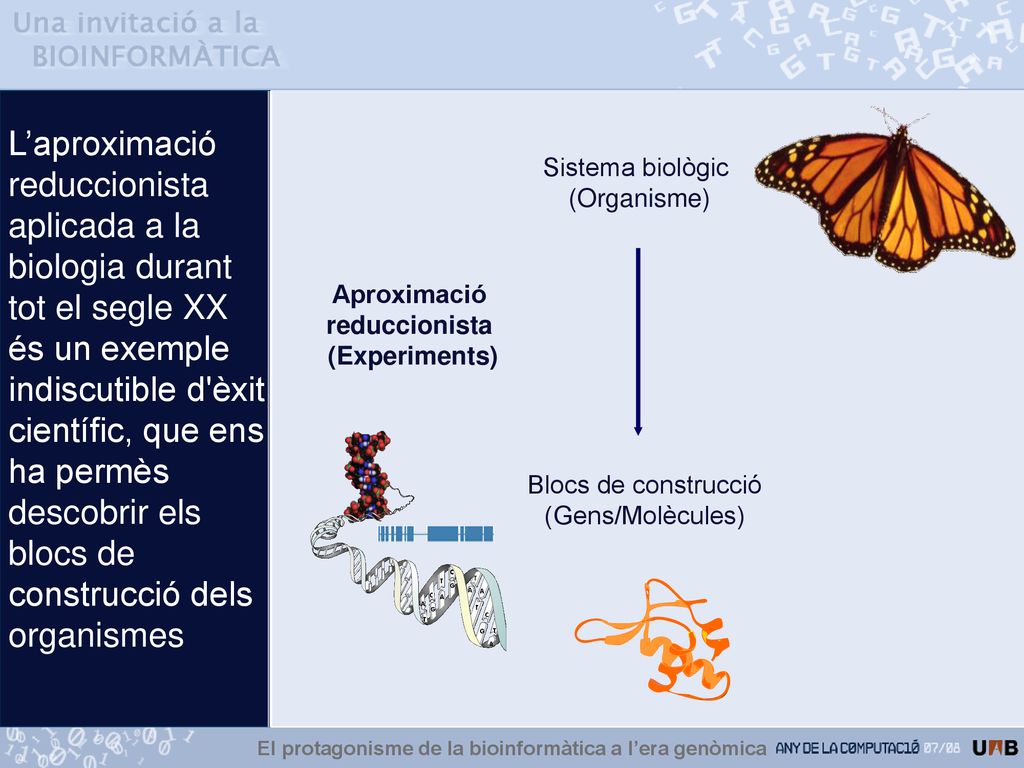 L’aproximació reduccionista aplicada a la biologia durant tot el segle XX és un exemple indiscutible d èxit científic, que ens ha permès descobrir els blocs de construcció dels organismes