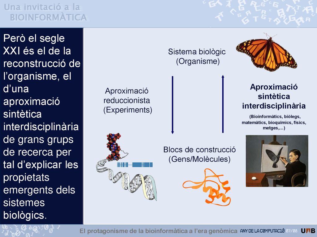 Però el segle XXI és el de la reconstrucció de l’organisme, el d’una aproximació sintètica interdisciplinària de grans grups de recerca per tal d’explicar les propietats emergents dels sistemes biològics.
