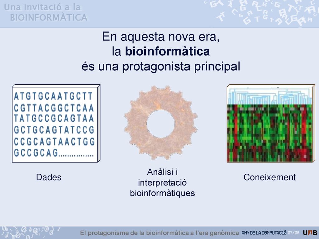 El protagonisme de la bioinformàtica a l’era genòmica