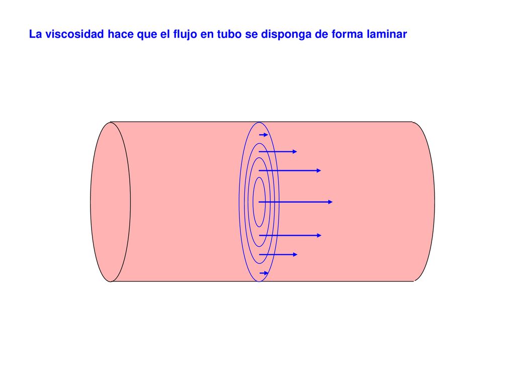 La viscosidad hace que el flujo en tubo se disponga de forma laminar