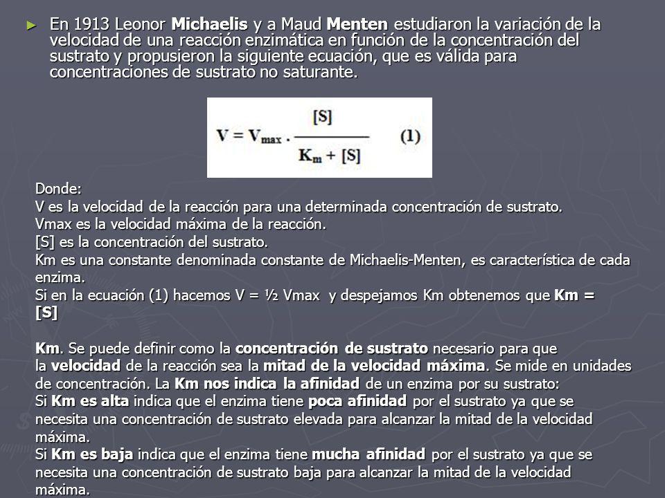 En 1913 Leonor Michaelis y a Maud Menten estudiaron la variación de la velocidad de una reacción enzimática en función de la concentración del sustrato y propusieron la siguiente ecuación, que es válida para concentraciones de sustrato no saturante.