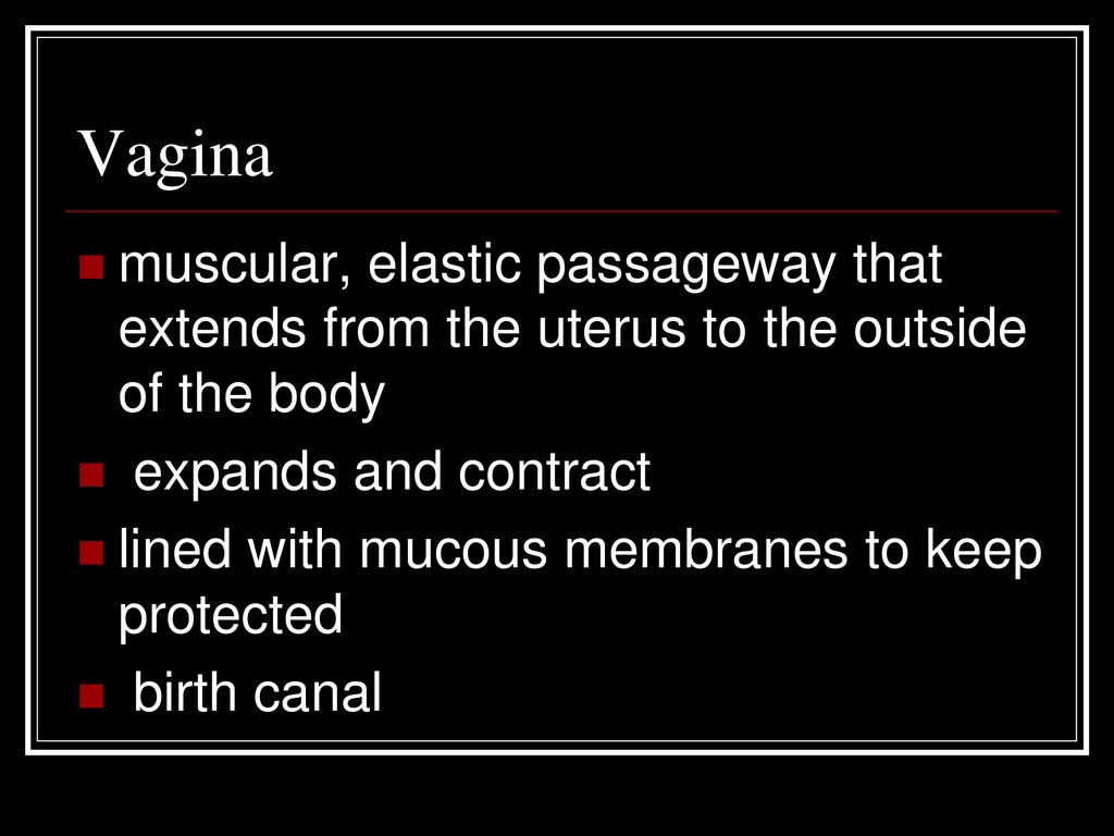 Vagina muscular, elastic passageway that extends from the uterus to the outside of the body. expands and contract.