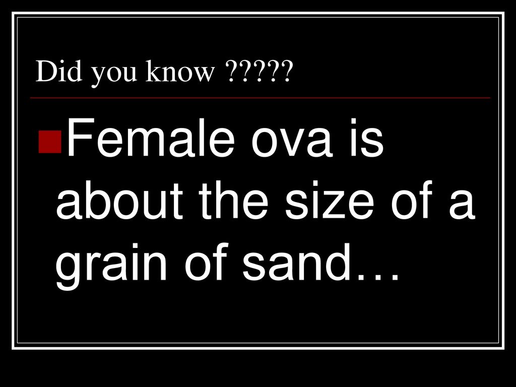 Female ova is about the size of a grain of sand…
