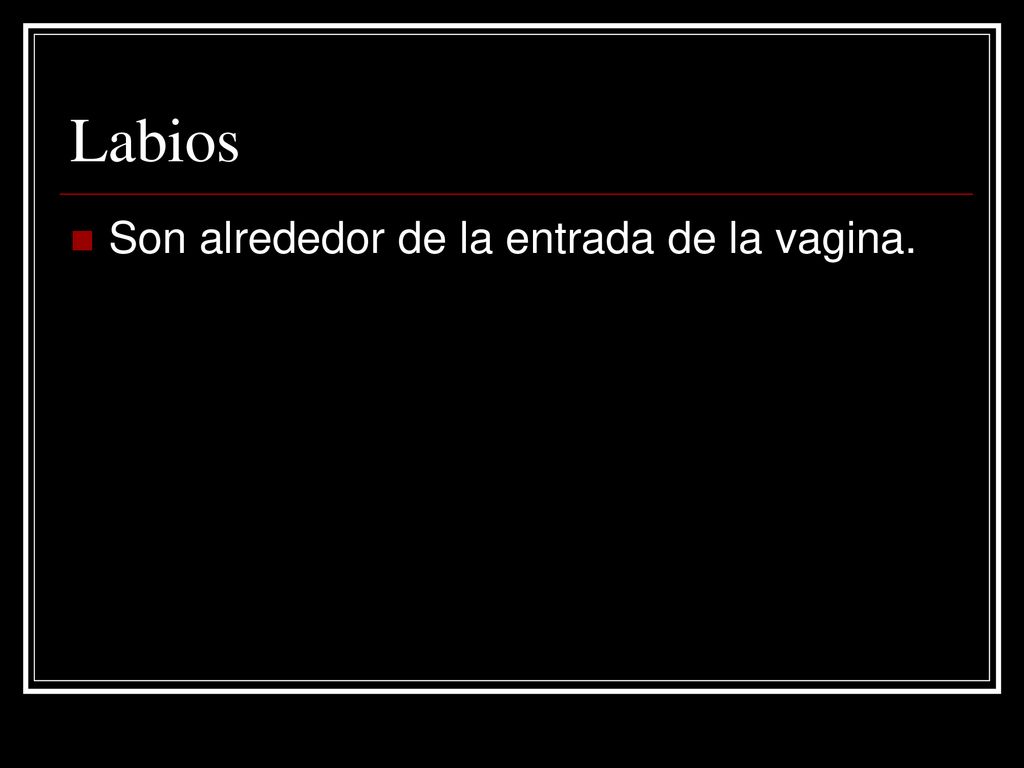 Labios Son alrededor de la entrada de la vagina.