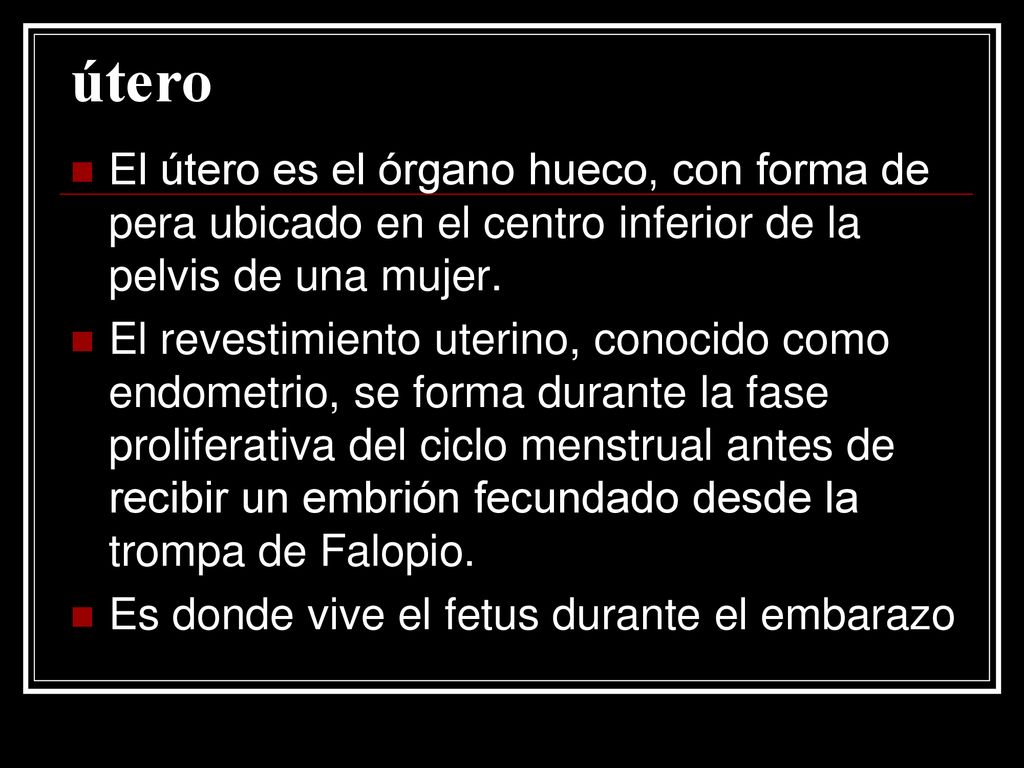 útero El útero es el órgano hueco, con forma de pera ubicado en el centro inferior de la pelvis de una mujer.