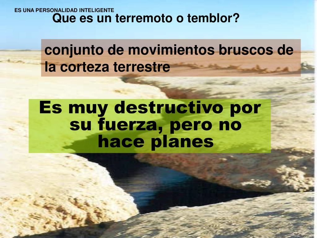 conjunto de movimientos bruscos de la corteza terrestre