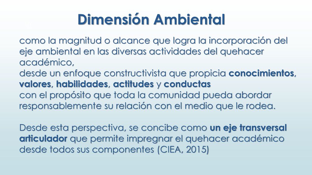 Dimensión Ambiental como la magnitud o alcance que logra la incorporación del eje ambiental en las diversas actividades del quehacer académico,