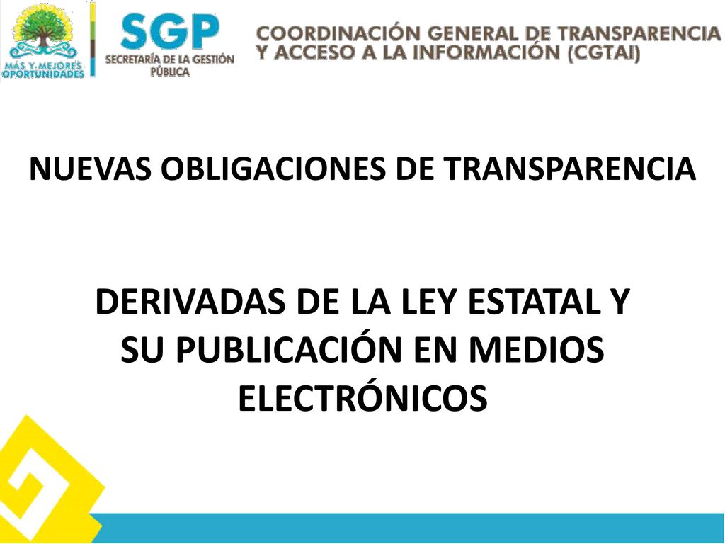 DERIVADAS DE LA LEY ESTATAL Y SU PUBLICACIÓN EN MEDIOS ELECTRÓNICOS