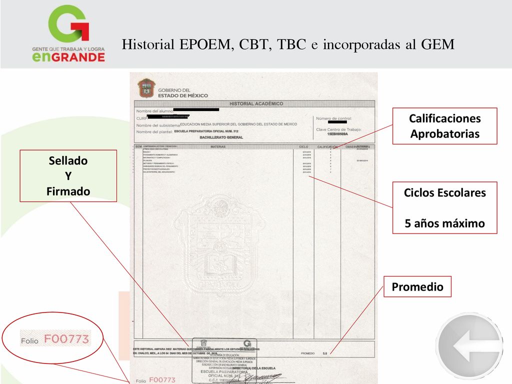 Historial EPOEM, CBT, TBC e incorporadas al GEM