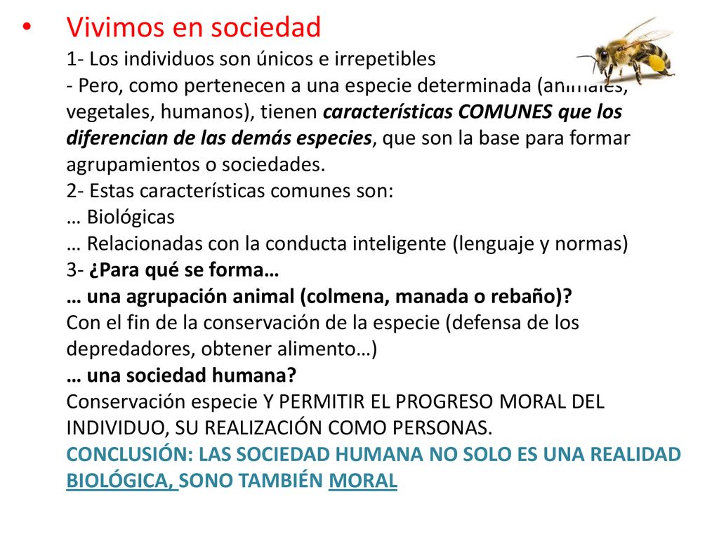 Vivimos en sociedad 1- Los individuos son únicos e irrepetibles - Pero, como pertenecen a una especie determinada (animales, vegetales, humanos), tienen características COMUNES que los diferencian de las demás especies, que son la base para formar agrupamientos o sociedades.