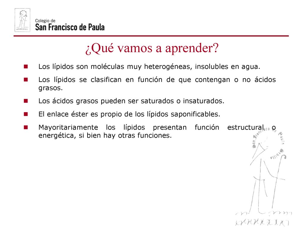 06/10/09 ¿Qué vamos a aprender Los lípidos son moléculas muy heterogéneas, insolubles en agua.