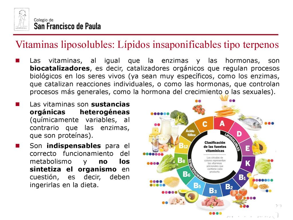 Vitaminas liposolubles: Lípidos insaponificables tipo terpenos