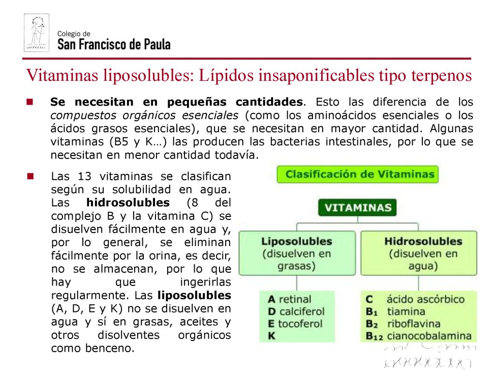 Vitaminas liposolubles: Lípidos insaponificables tipo terpenos