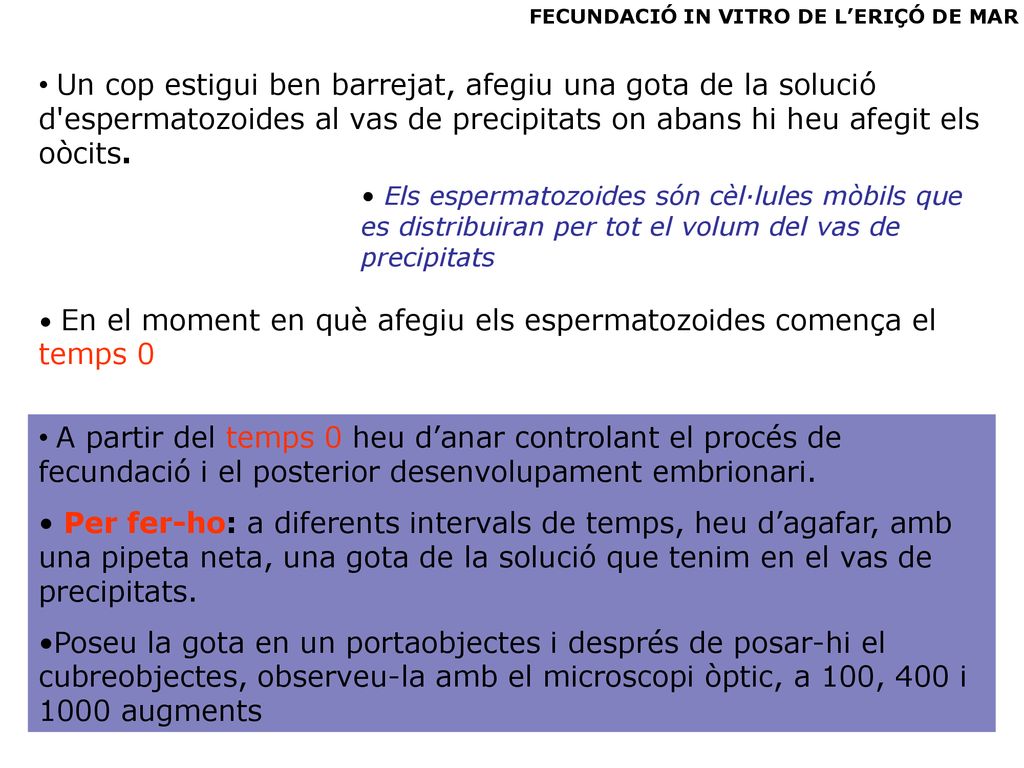 FECUNDACIÓ IN VITRO DE L’ERIÇÓ DE MAR