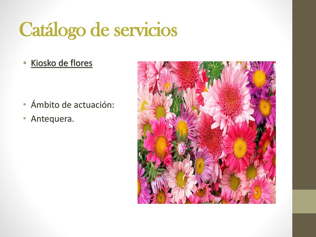Catálogo de servicios Kiosko de flores Ámbito de actuación: Antequera.