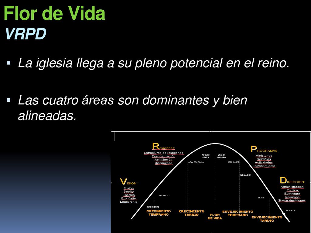 Flor de Vida VRPD La iglesia llega a su pleno potencial en el reino.