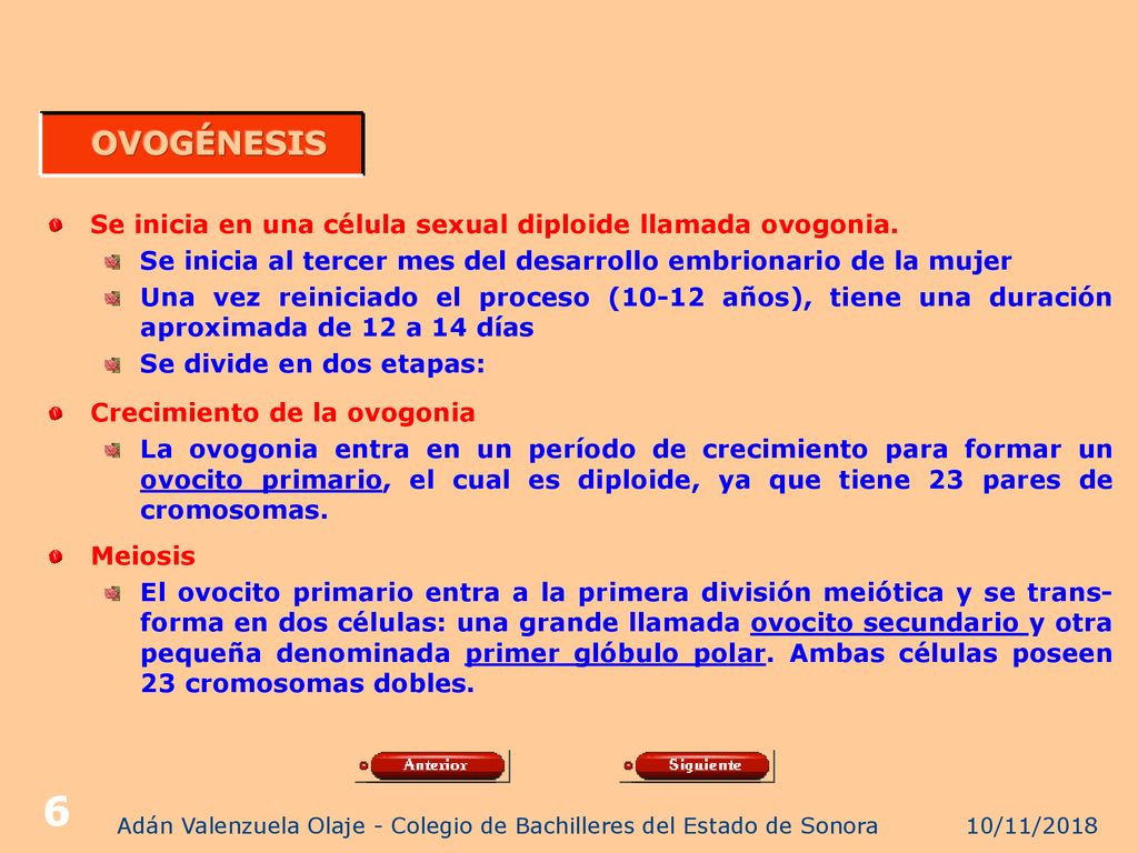 Adán Valenzuela Olaje - Colegio de Bachilleres del Estado de Sonora