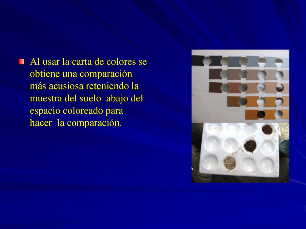 Al usar la carta de colores se obtiene una comparación más acusiosa reteniendo la muestra del suelo abajo del espacio coloreado para hacer la comparación.