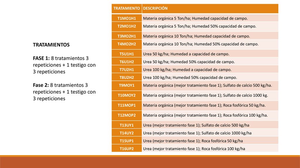 FASE 1: 8 tratamientos 3 repeticiones + 1 testigo con 3 repeticiones