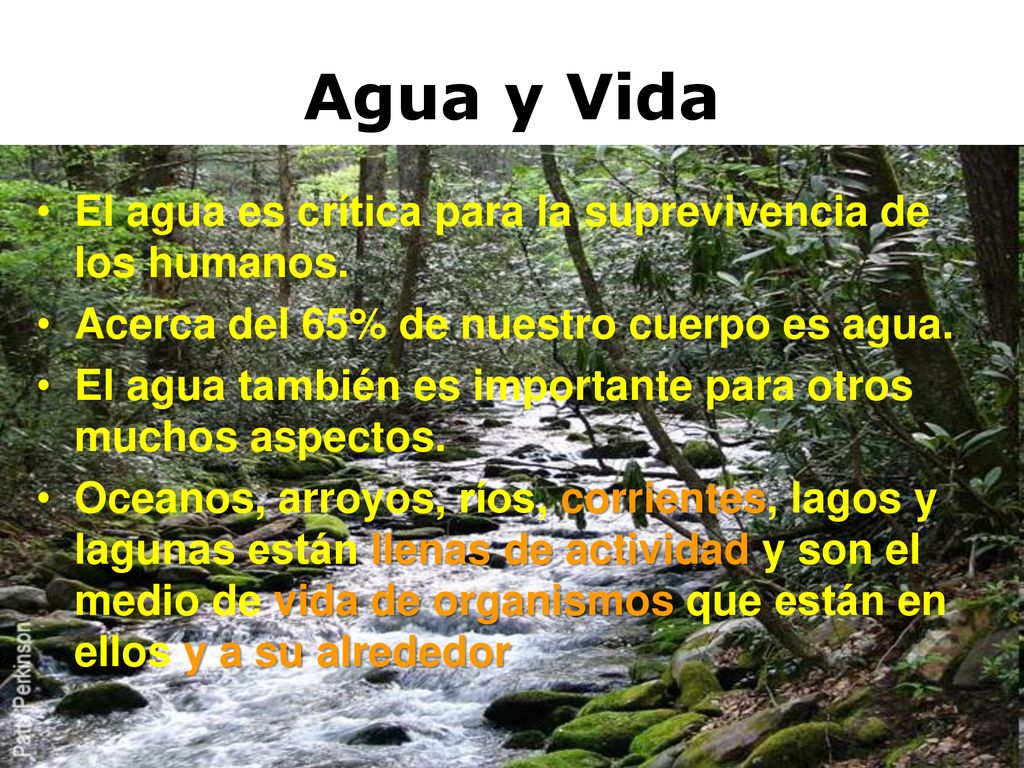 Agua y Vida El agua es crítica para la suprevivencia de los humanos.