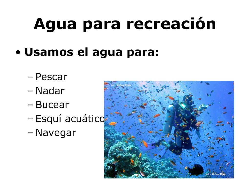 Agua para recreación Usamos el agua para: Pescar Nadar Bucear