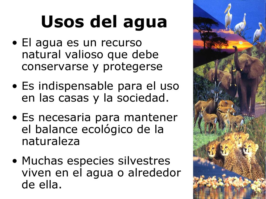 Usos del agua El agua es un recurso natural valioso que debe conservarse y protegerse. Es indispensable para el uso en las casas y la sociedad.