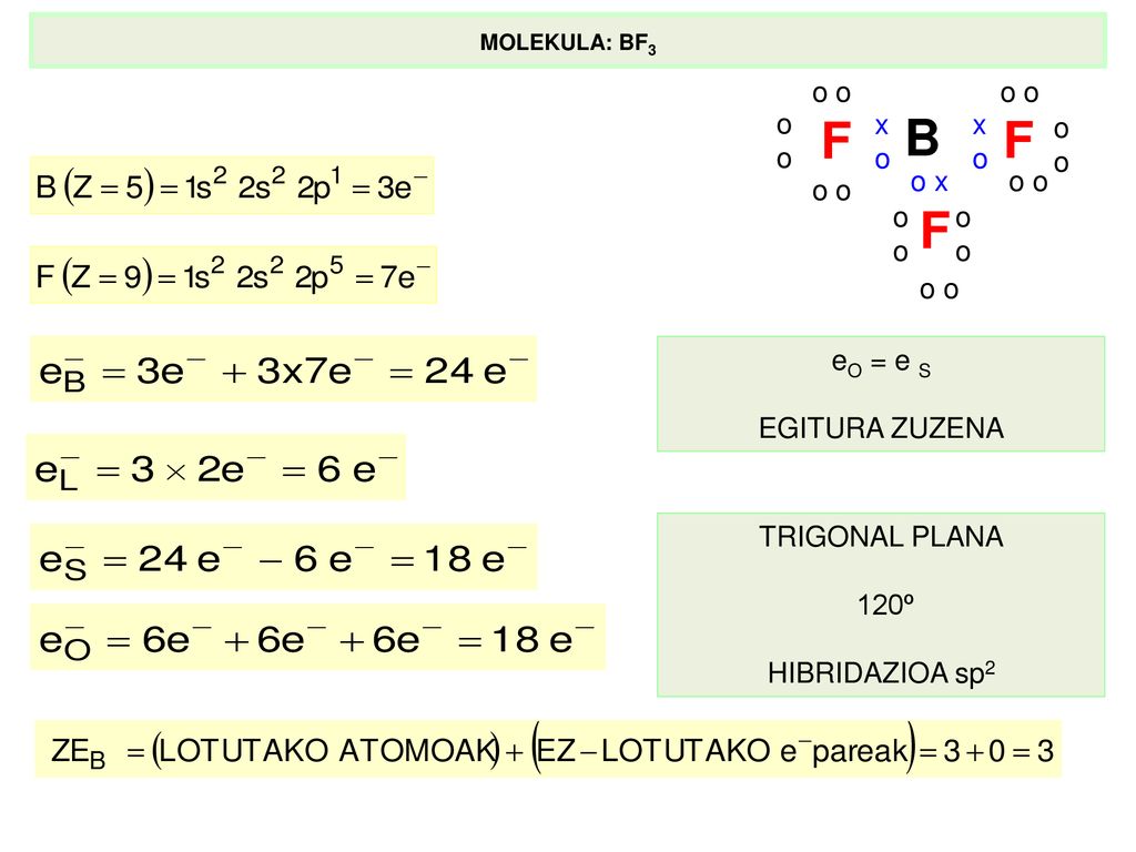 B F x o o x o o eO = e S EGITURA ZUZENA TRIGONAL PLANA 120º