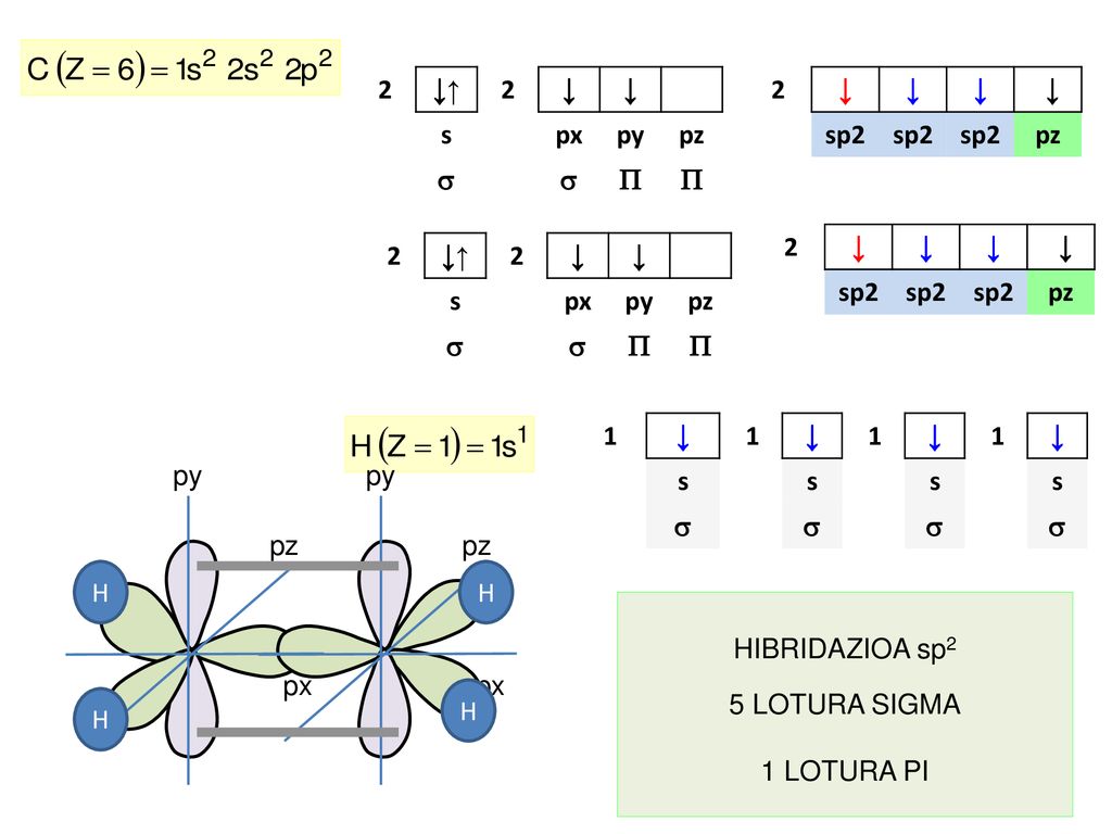 2 ↓↑ ↓ s. px. py. pz.   2. ↓ sp2. pz. 2. ↓ sp2. pz. 2. ↓↑ ↓ s. px. py. pz. 