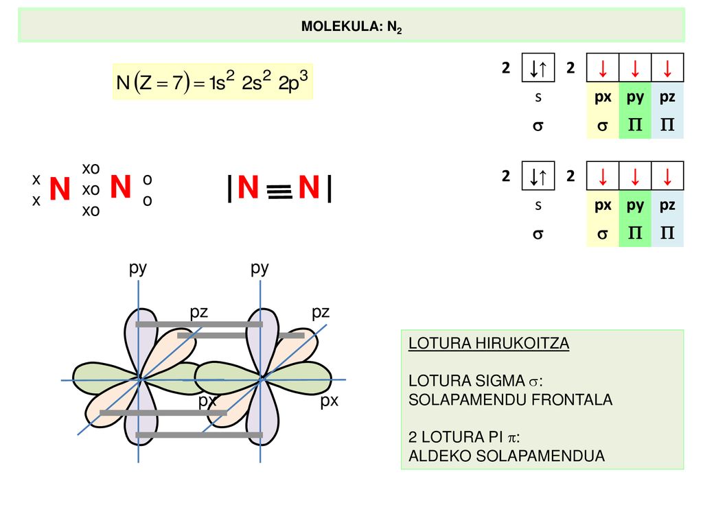 N N N N 2 ↓↑ ↓ s px py pz   xo x 2 ↓↑ ↓ s px py pz   o py pz px