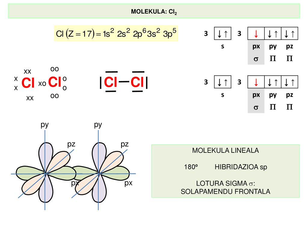 Cl Cl Cl Cl 3 ↓ ↑ ↓ s px py pz   oo xx x o xo 3 ↓ ↑ ↓ s px py pz  