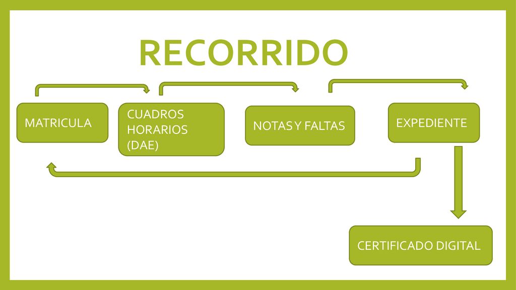 RECORRIDO MATRICULA CUADROS HORARIOS (DAE) EXPEDIENTE NOTAS Y FALTAS