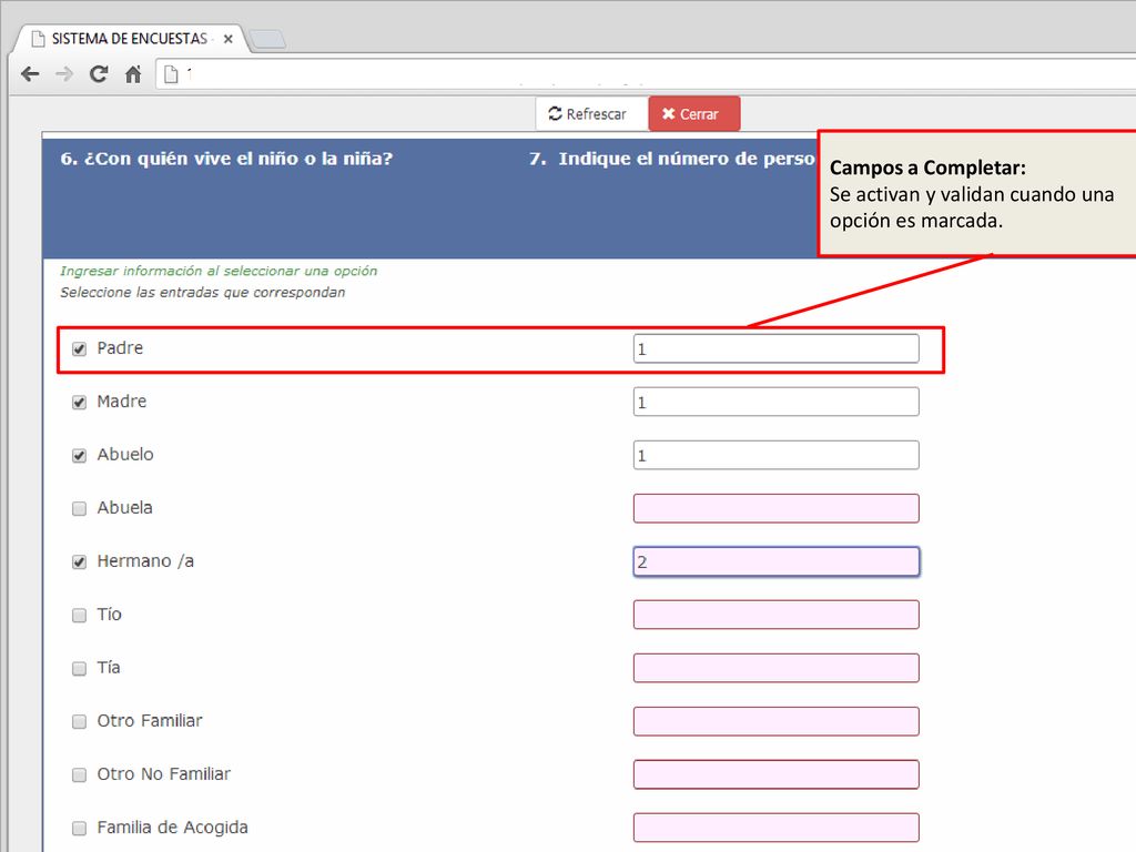 Campos a Completar: Se activan y validan cuando una opción es marcada.