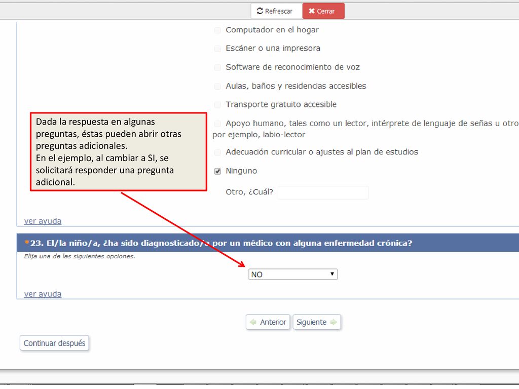 Dada la respuesta en algunas preguntas, éstas pueden abrir otras preguntas adicionales.