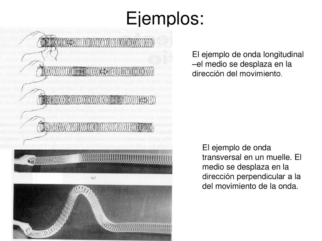 Ejemplos: El ejemplo de onda longitudinal –el medio se desplaza en la dirección del movimiento.