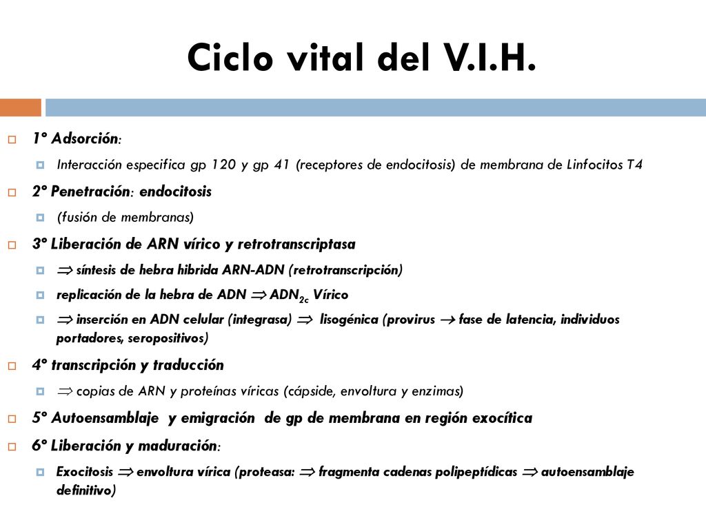 Ciclo vital del V.I.H. 1º Adsorción: 2º Penetración: endocitosis