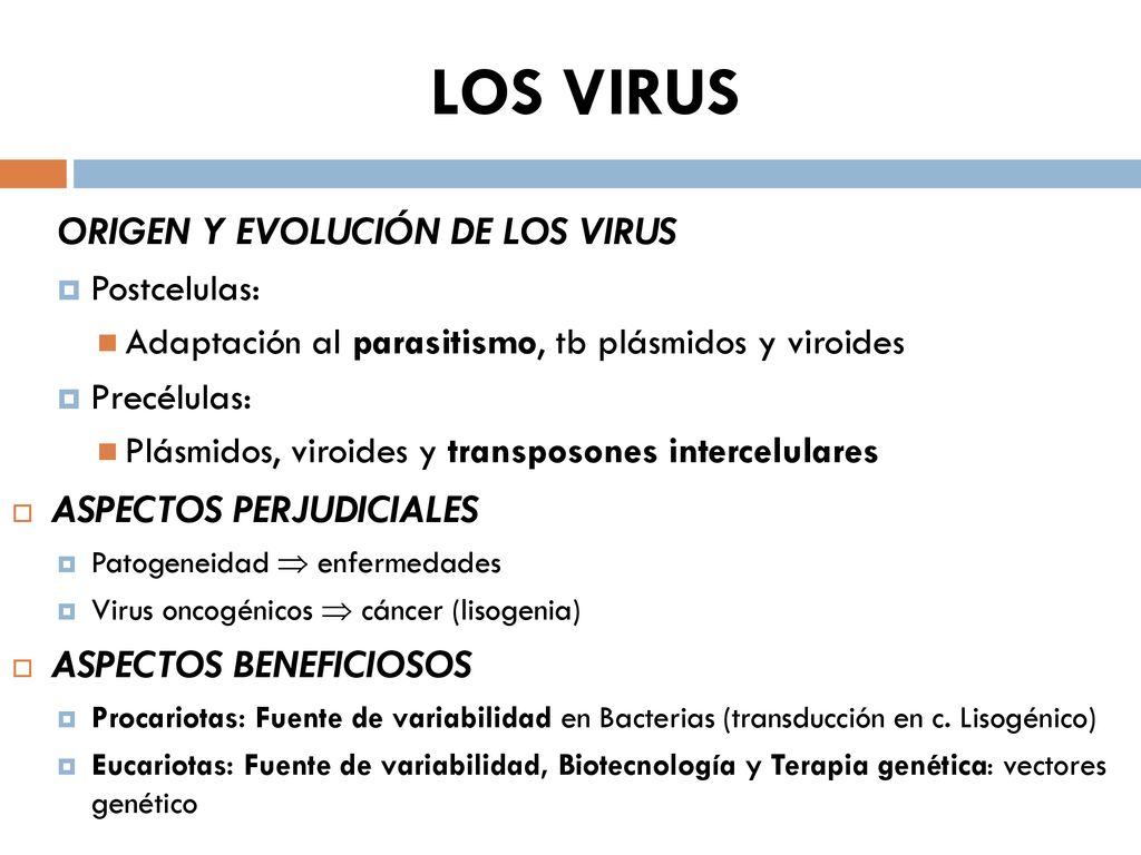 LOS VIRUS ORIGEN Y EVOLUCIÓN DE LOS VIRUS ASPECTOS PERJUDICIALES