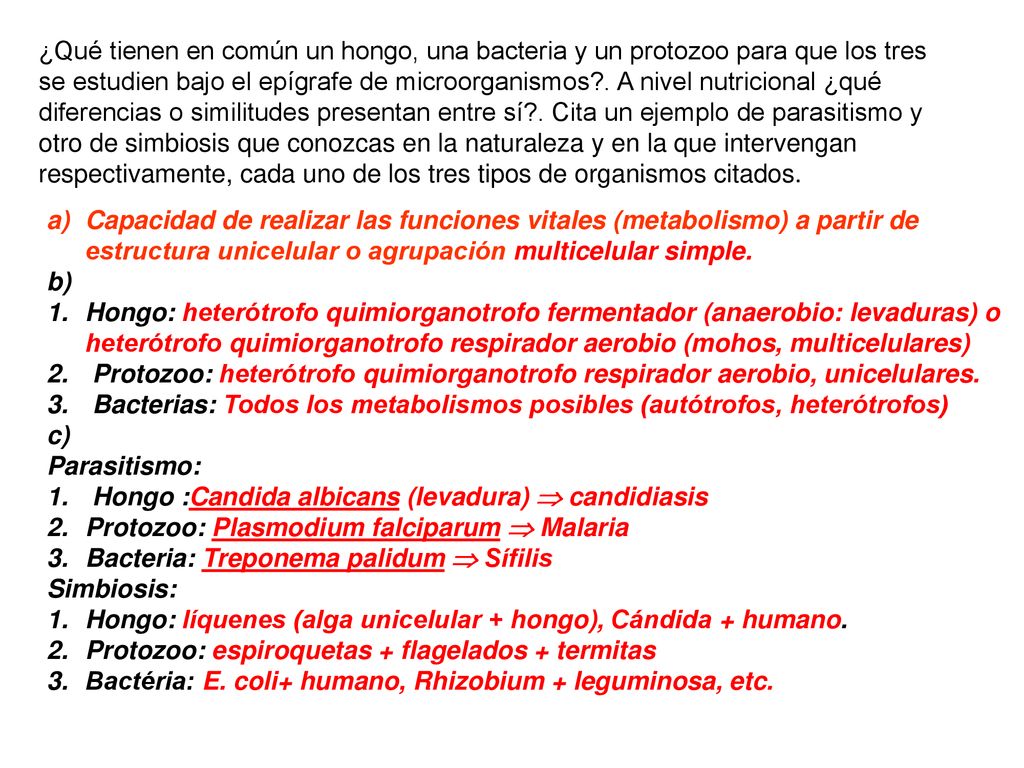 ¿Qué tienen en común un hongo, una bacteria y un protozoo para que los tres se estudien bajo el epígrafe de microorganismos . A nivel nutricional ¿qué diferencias o similitudes presentan entre sí . Cita un ejemplo de parasitismo y otro de simbiosis que conozcas en la naturaleza y en la que intervengan respectivamente, cada uno de los tres tipos de organismos citados.