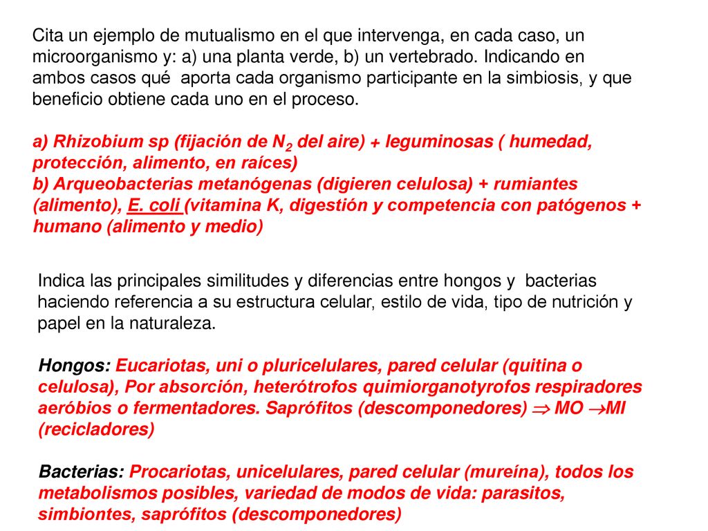 Cita un ejemplo de mutualismo en el que intervenga, en cada caso, un microorganismo y: a) una planta verde, b) un vertebrado. Indicando en ambos casos qué aporta cada organismo participante en la simbiosis, y que beneficio obtiene cada uno en el proceso.