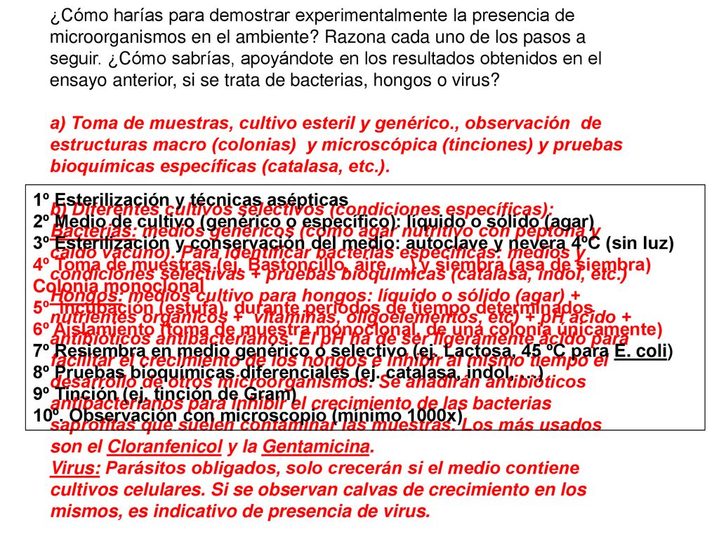 ¿Cómo harías para demostrar experimentalmente la presencia de microorganismos en el ambiente Razona cada uno de los pasos a seguir. ¿Cómo sabrías, apoyándote en los resultados obtenidos en el ensayo anterior, si se trata de bacterias, hongos o virus