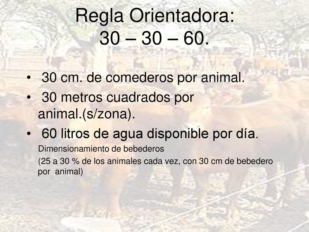 Regla Orientadora: 30 – 30 – cm. de comederos por animal.