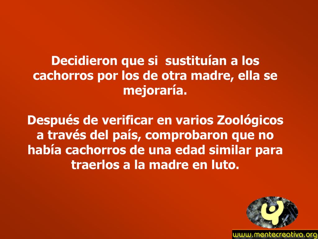 Decidieron que si sustituían a los cachorros por los de otra madre, ella se mejoraría.