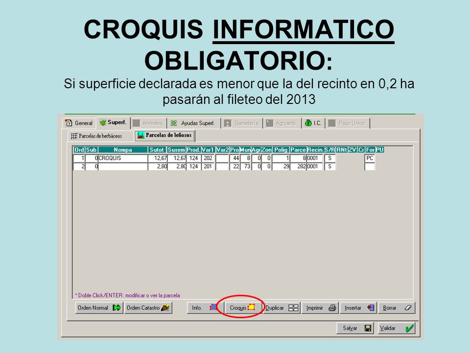 CROQUIS INFORMATICO OBLIGATORIO: Si superficie declarada es menor que la del recinto en 0,2 ha pasarán al fileteo del 2013