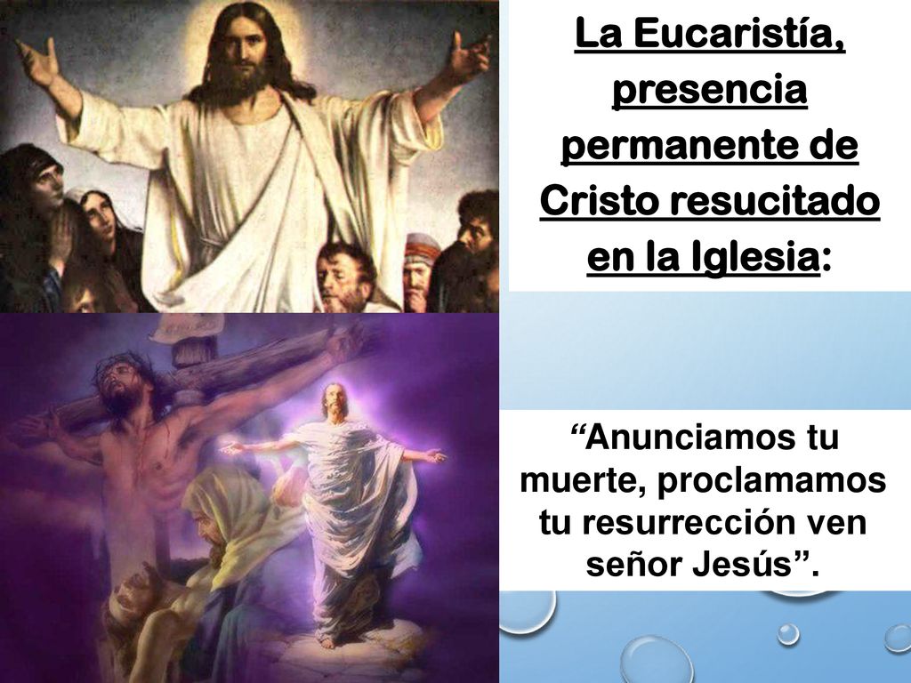 Anunciamos tu muerte, proclamamos tu resurrección ven señor Jesús .