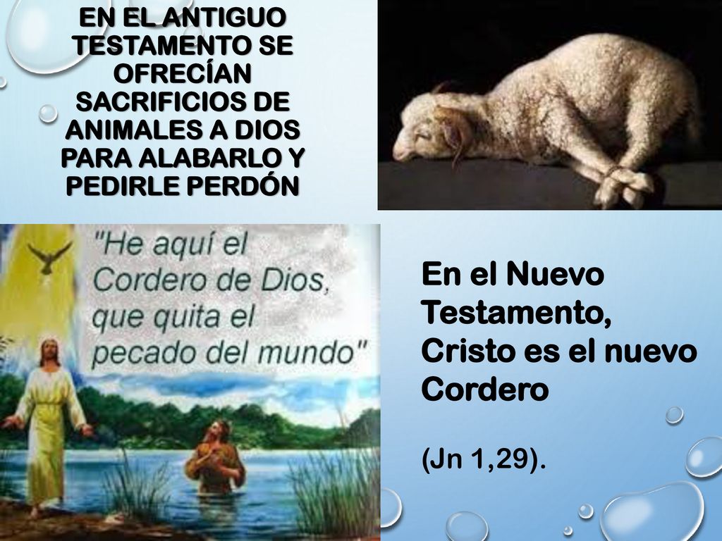 En el Nuevo Testamento, Cristo es el nuevo Cordero (Jn 1,29).