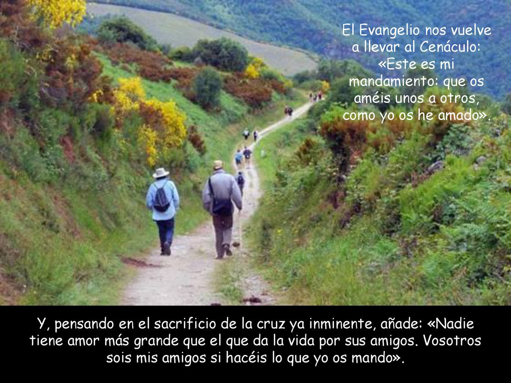El Evangelio nos vuelve a llevar al Cenáculo: «Este es mi mandamiento: que os améis unos a otros, como yo os he amado».